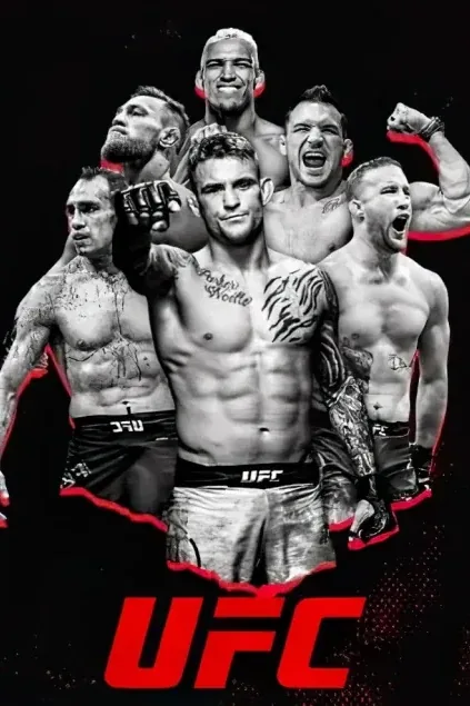 UFC fight night poster
